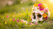 A skull with flowers for a magical ritual