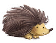 Children's style hedgehog
