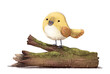Yellow bird on a fallen branch