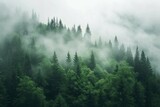 Fototapeta Krajobraz - Misty landscape with fir forest in hipster vintage retro style