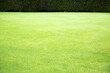 Green background wall with layers of green hues