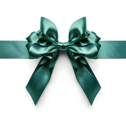 gift bow tied in green isolated on white background