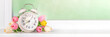 © ricka_kinamoto - Spring Time Forward background with Alarm clock with spring flowers on window sills, against sun lighted window.  Spring time, daylight savings concept.  Set your clocks forward an hour.