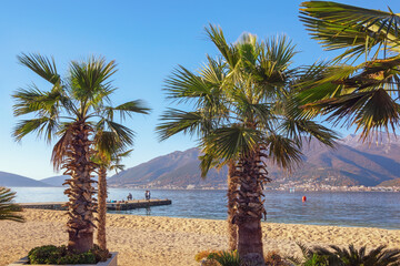 Wall Mural - Beach. Beautiful winter Mediterranean landscape. Montenegro, Tivat. View of Kotor Bay on sunny day