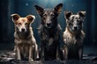 © Ifti Digital - Three dogs of different breeds and sizes sitting side by side, enjoying each others company, Unwanted and homeless dogs of different breeds in animal shelter, AI Generated