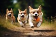 Two Welsh corgi dogs running with a ball in mouth, Energetic dogs running after a ball on a sunny day, AI generated