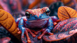 beautiful colorful frog cute print illustration