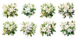 White jasmine flowers painted with watercolors