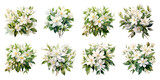 White jasmine flowers painted with watercolors