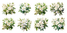 White Jasmine Flowers Painted With Watercolors