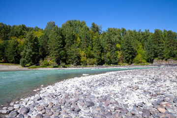 Wall Mural - Boulders are on Katun river coast, landscape photo