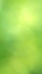 Wall Mural - abstract empty green bokeh light background, beautiful soft motion nature scene outdoors concept in 