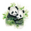 Two little panda bears with bamboo leaves contour on background. Cute little animals hug each other with love. Watercolor style, Card with lovely illustration.
