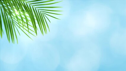 Wall Mural - border of isolated palm leaf with sunbeam on abstract blue bokeh light animation, empty background w