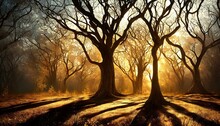 Background with dry bare trees in winter forest. Golden sunset light. 