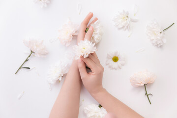 Wall Mural - Closeup beautiful sophisticated female hands with pink flowers on white background. Concept hand care, antiwrinkles, antiaging cream, spa