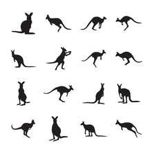Set Silhouettes Of Kangaroo, Different Poses, Black Color, Isolated On White Background. Lies, Stands, Sits, Jumps. Vector Realistic Illustrations
