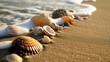 A detailed close-up of various seashells on a sandy beach with the waves gently lapping at the shore.