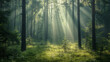 A serene forest in the early morning with sunlight filtering through dense trees creating a mystical ambiance.