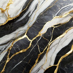  Gilded Monochrome: Black and White Marble Enriched by Gold Accents
