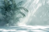 Fototapeta Do akwarium - a background of a white room with a silhouette of a tropical tree