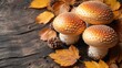  a group of three mushrooms sitting on top of a wooden table next to leaves and a pine cone with a pine cone sticking out of the top of the mushrooms.