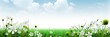 Outdoor flower meadow banner. nature spring clover landscape with space for text