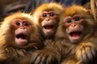 © chelmicky - Curious and amusing monkeys looking at the camera with surprised expression and copy space for text
