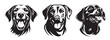 Labrador dog heads, black and white vector graphics