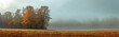 Autumn landscape, foggy morning, yellowed grass, a lonely tree standing in the fog. Banner. Place for text.