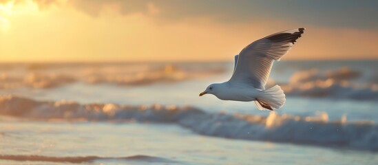 Wall Mural - Seagull Soaring Above a Serene Beach, Indulging in Indoor Moments of Reflection and Freedom