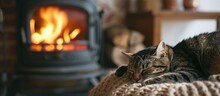 Cozy Cat Sleeping By The Stove In A Fireplace-Adorned Home Room