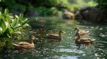 A Detailed 3D Rendering Of Ducks Gracefully Swimming In A Pond