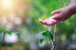 Hands of baby kid watering plants. growing nurturing tree growing on fertile soil with green and yellow bokeh background. nurturing baby plant.  protect nature and environment  concept.