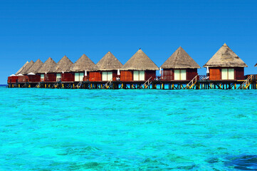 Wall Mural - Water villas stand abreast in Maldivian sea 1