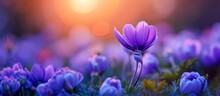 Captivating Beauty: A Gorgeous Purple Flower Blooming In A Stunning Spring Garden