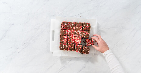 Wall Mural - Peppermint brownies from a box mix