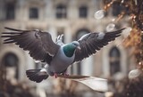 Fototapeta Łazienka -  letter the wing pigeon