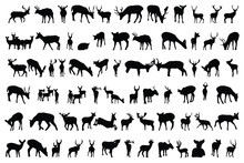 Collection Of Deer Silhouettes Of Wild Animals 