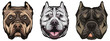 set of bulldog head vector illustration