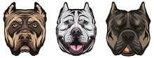 Set Of Bulldog Head Vector Illustration