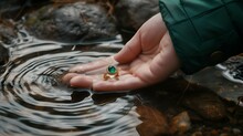 Person Holding Ring In Water At Rocky Streambank, Close - Up
