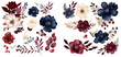 Watercolor navy and burgundy floral clipart for graphic resources