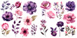 Watercolor dark violet and pink floral clipart for graphic resources