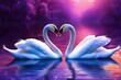 two white swans swimming on the lake, couple, romance, love, purple shades, beautiful nature, heart, fairy tale 
