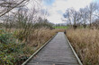 © Emile - Straight wooden path on marshy ground between wild brown grass, bench and bare trees against cloudy sky in background, cloudy day in Alden Biesen nature reserve, Bilzen, Limburg, BelgiumStraight woode