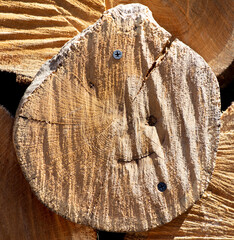 Sticker - Tree slice as abstract background. Texture