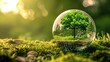 © Crazy Juke - A glass globe adorned with 'save water' icons nestled in a green forest illuminated by sunlight, Ai Generated.