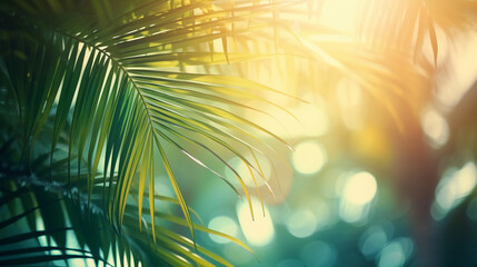 nature blur green palm leaves on tropical beach with sun bokeh lights,