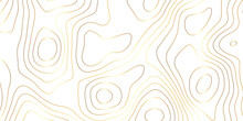 Abstract Background With Topographic Contours Map With Geographic Golden Line Map .white Wave Paper Curved Reliefs Abstract Background .vector Illustration Of Topographic Line Contour Map Design .